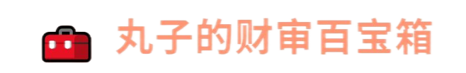 丸子的财审百宝箱